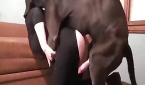 xxxcu - sexo de cachorro,sexo foda animal